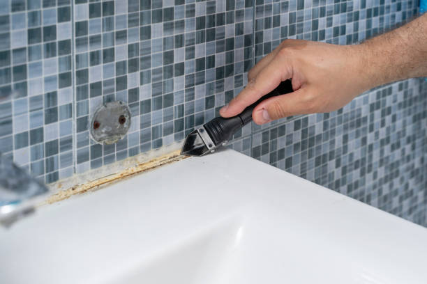 Best Mold Removal Specialists  in South Run, VA