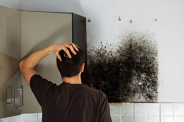 Best Commercial Mold Removal  in South Run, VA