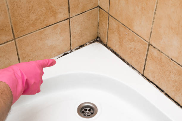 Best Professional Mold Removal  in South Run, VA